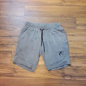 Alphalete Men V3 Shorts